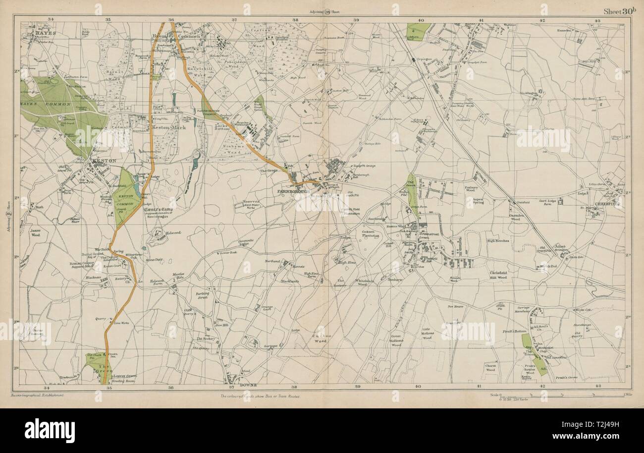 ORPINGTON Farnborough Keston Mark Pratt's Bottom Chelsfield. BACON 1919 map Stock Photo