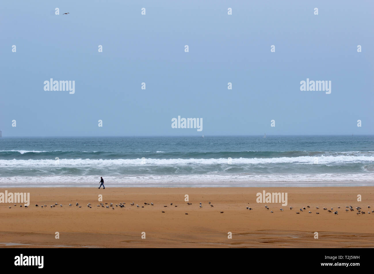Alone man walking sad hi-res stock photography and images - Alamy