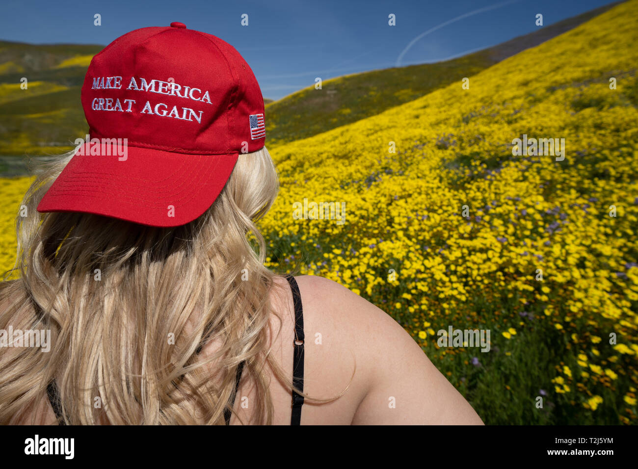 Taft, California - March 25, 2019: Blonde woman wearing a Donald Trump Make America Great Again hat, sitting in a field of yellow wildflowers. Concept Stock Photo