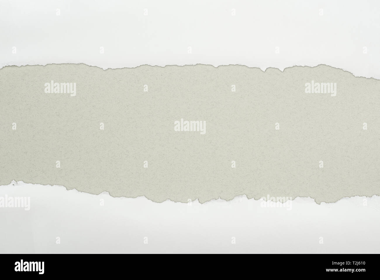 ripped white textured paper with copy space on grey background Stock ...