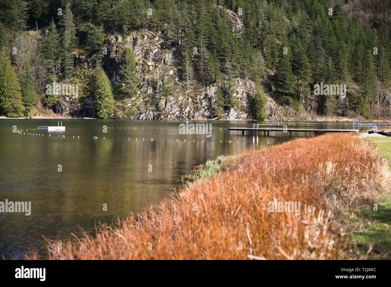 Lake Errock in Deroche, Mission, British Columbia, Canada Stock Photo