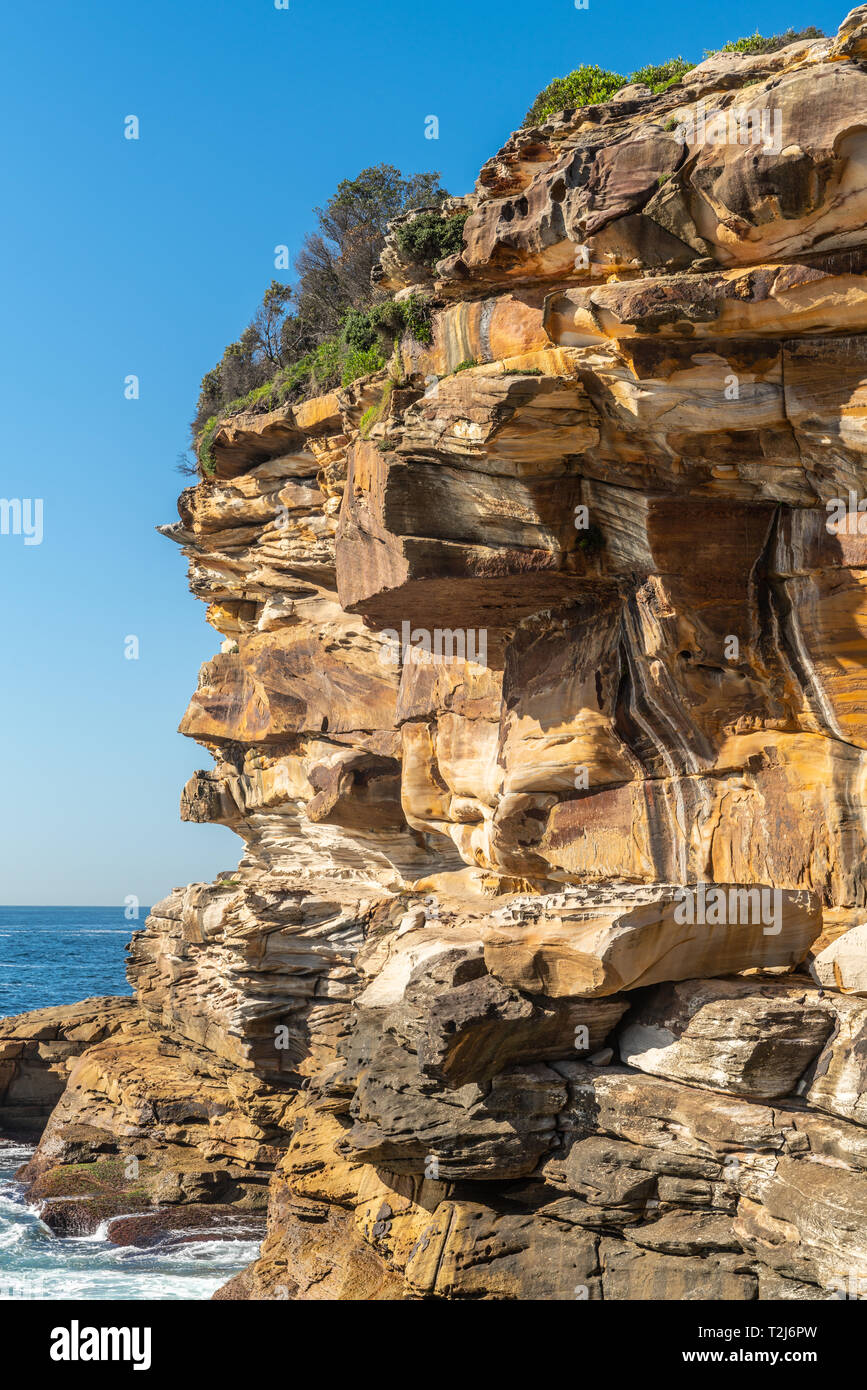 Sydney rock oyster hi-res stock photography and images - Alamy