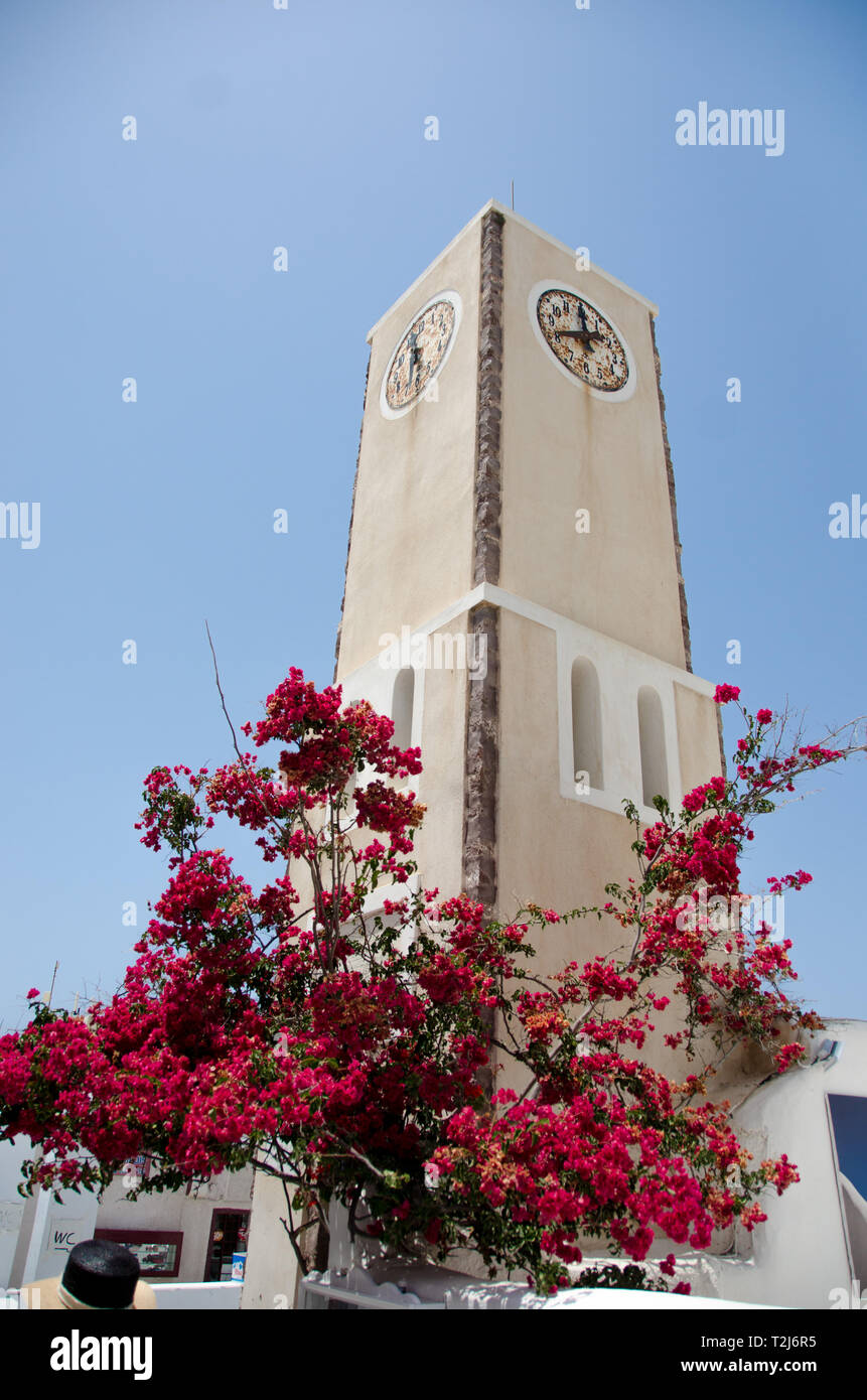 A clock tower on Santorini surrounded by beautiful, magenta bougainvillea. Stock Photo