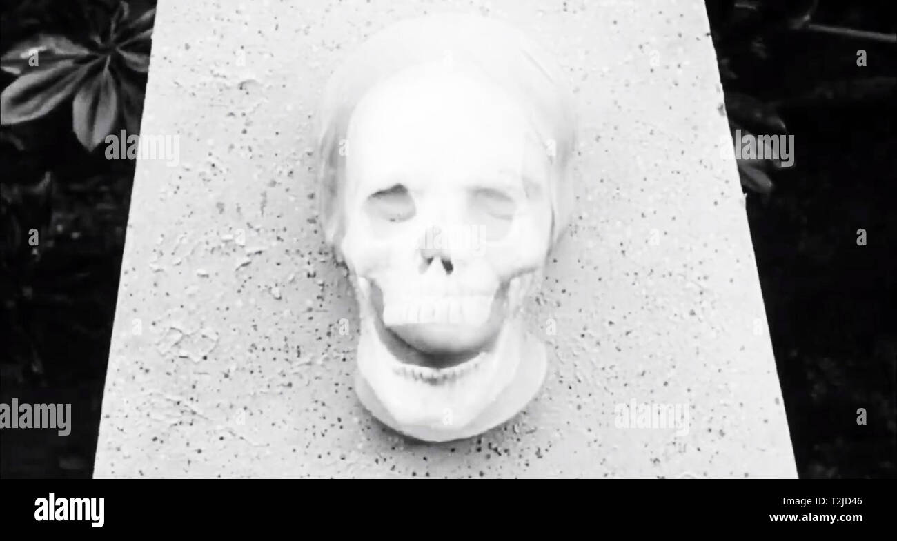 A creepy skull Stock Photo Alamy