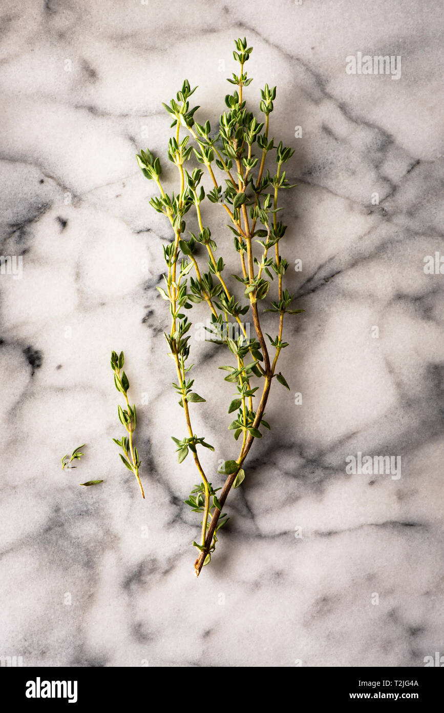 Sprig of thyme hires stock photography and images Alamy