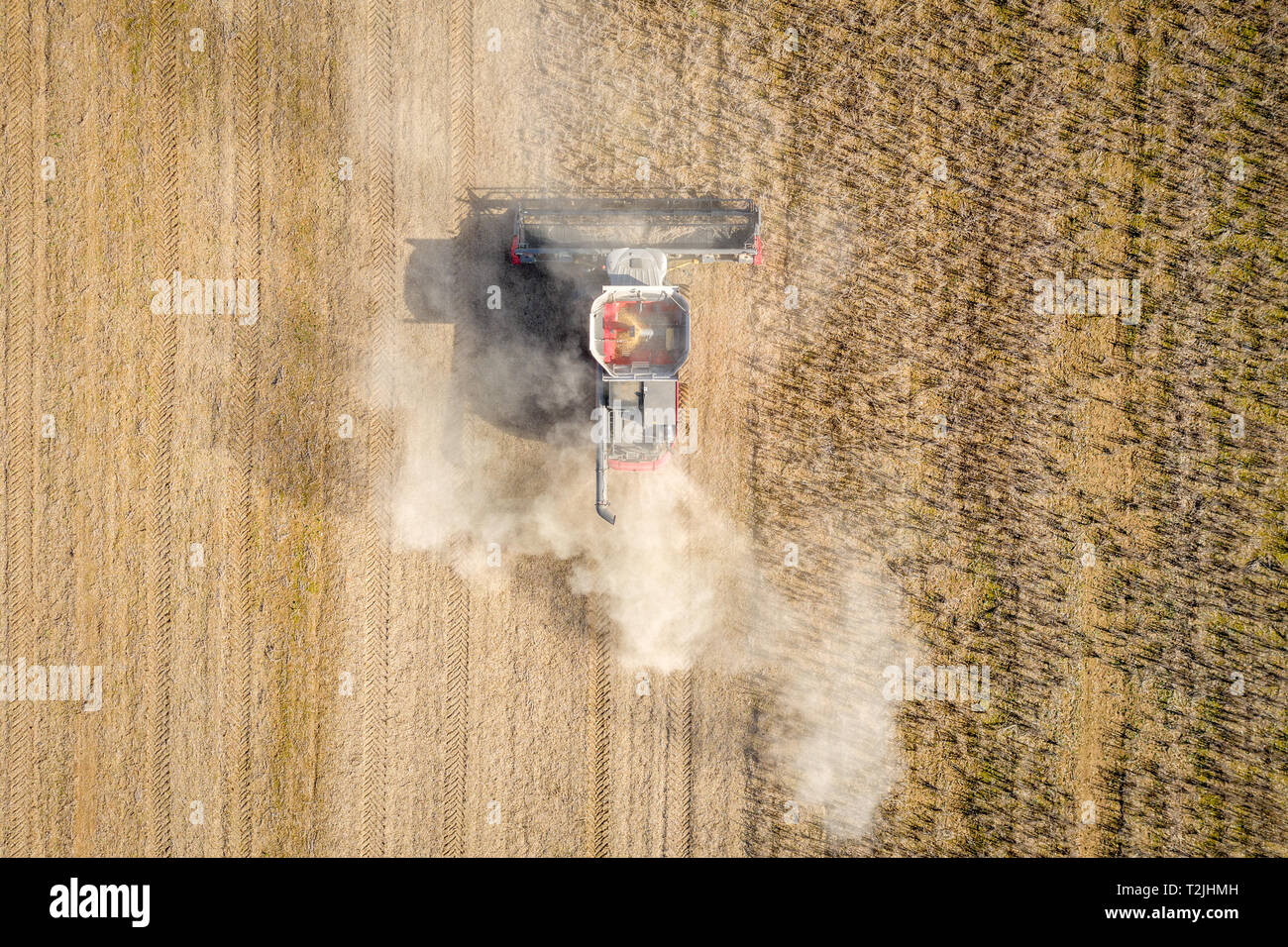 Soybean field family hires stock photography and images Alamy