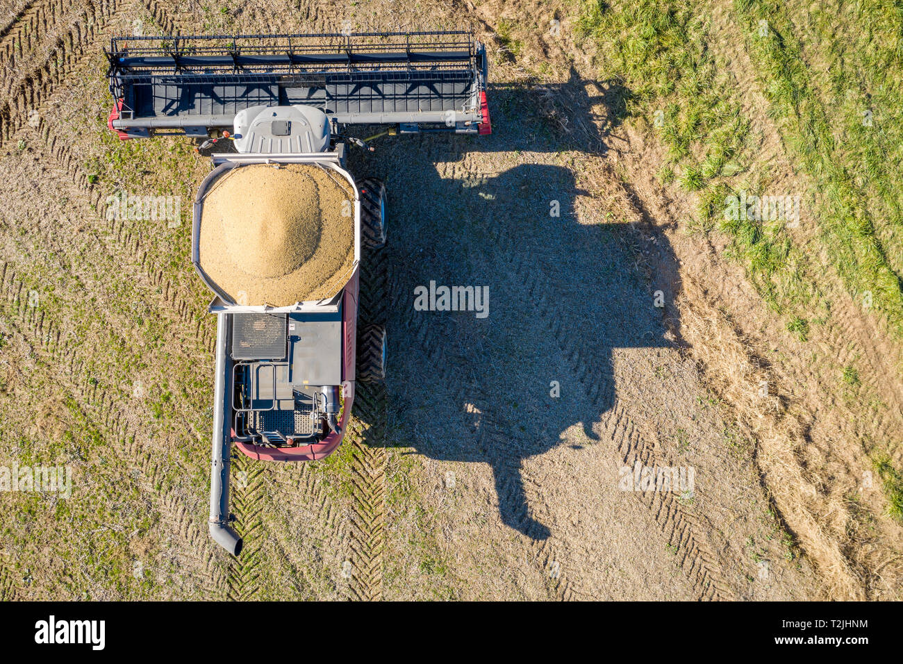 soybeans Linthicum Family Tom, Paula ,Tom sr, Seneca Ayr farm