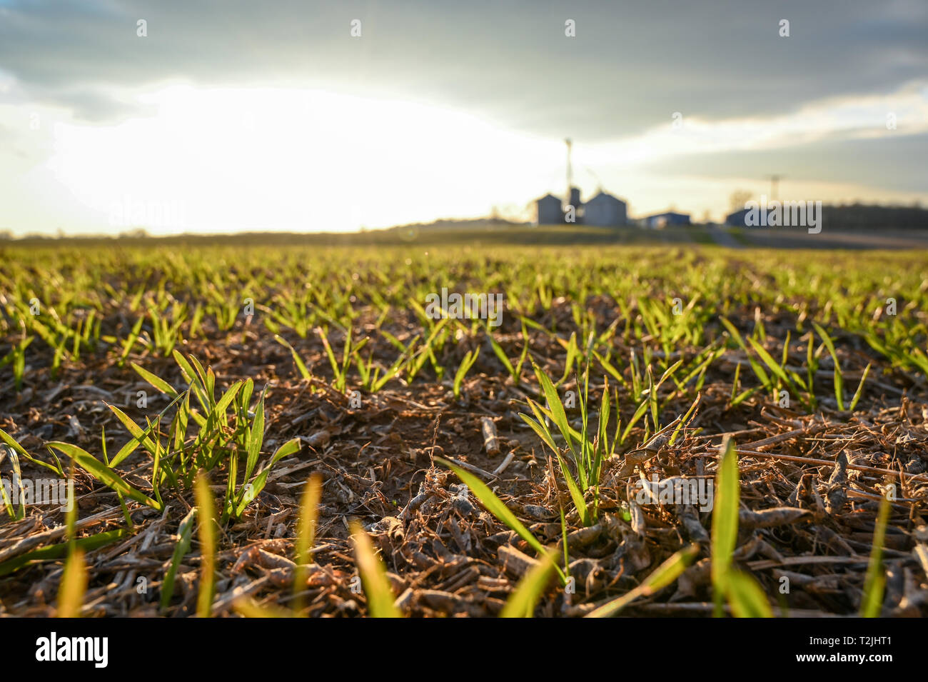 Crops in rotation hires stock photography and images Alamy