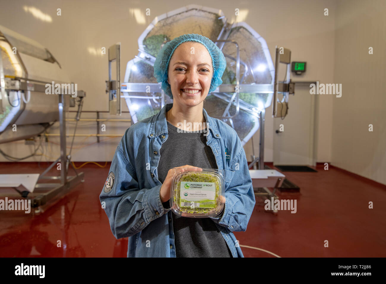 Woman wearing hair net hi-res stock photography and images - Alamy