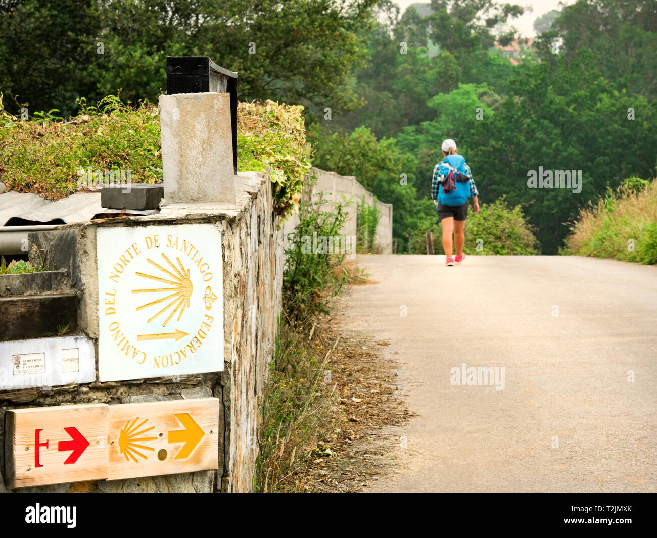 Lonely Pilgrim with backpack walking the Camino de Santiago in Spain, Way of St James Stock Photo