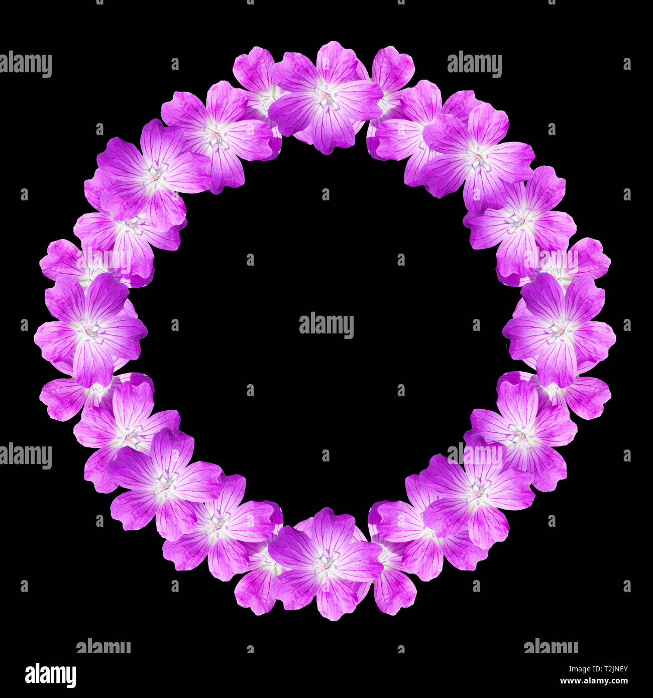 mock up round floral frame from flowers of wild geranium isolated on ...
