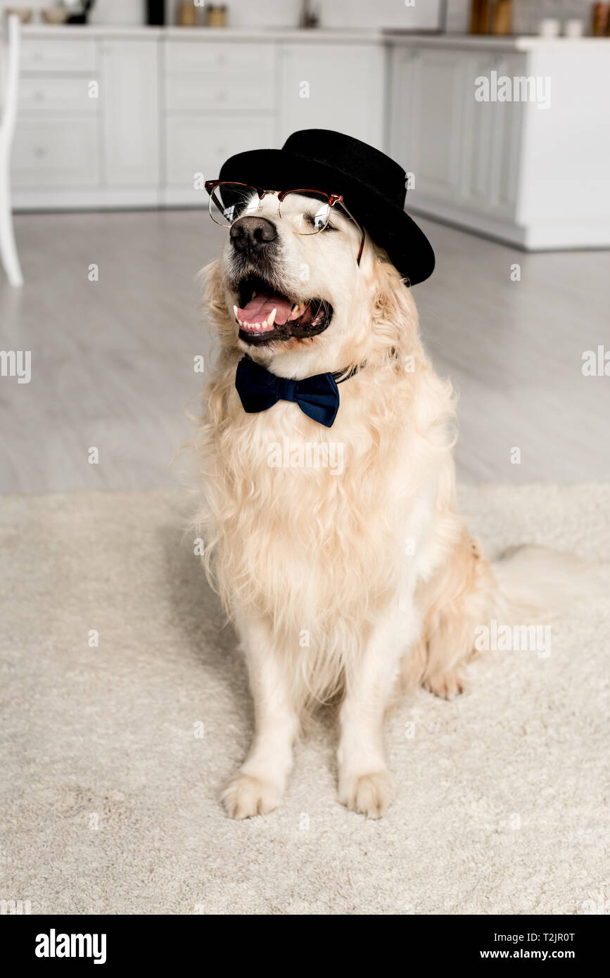 Golden retriever tie discount