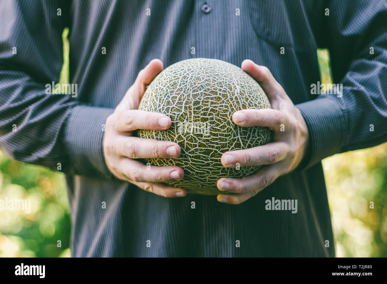 the man is holding a ripe melon Stock Photo