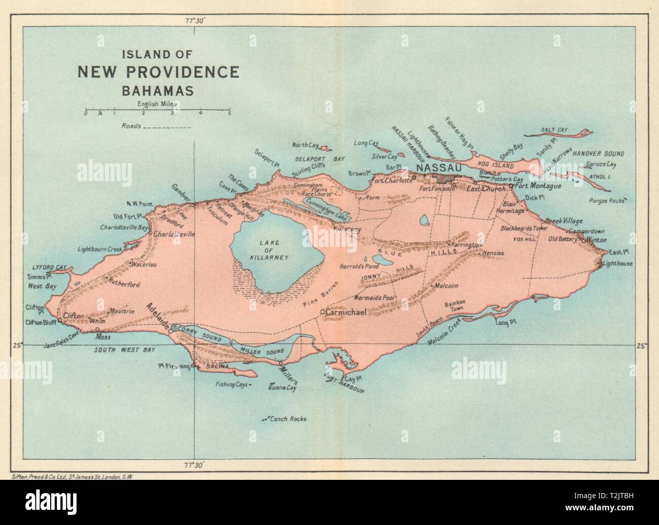 NEW PROVIDENCE. Vintage map. Bahamas. Caribbean 1931 old vintage chart