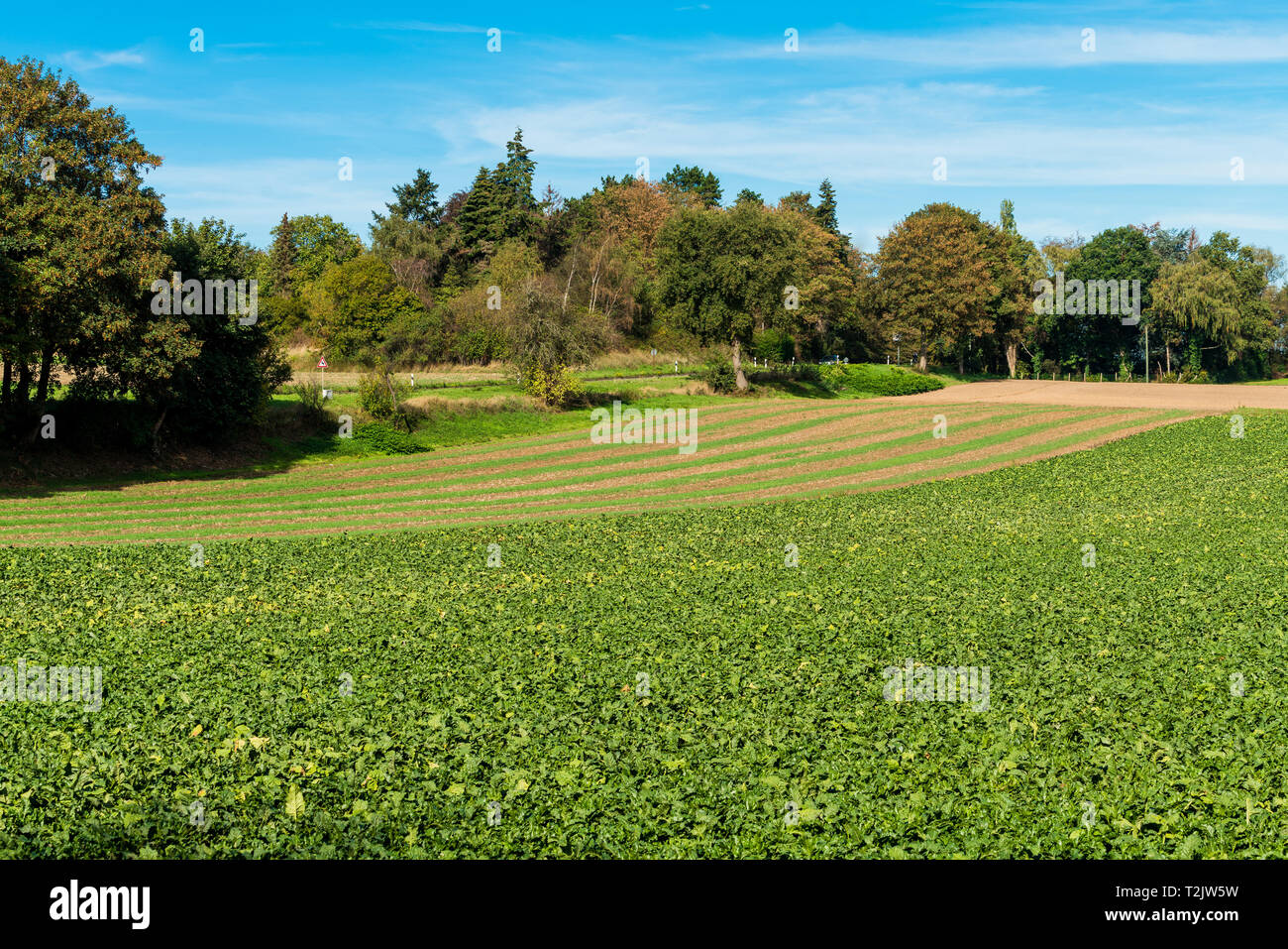 farmland landscape in Europe Stock Photo Alamy