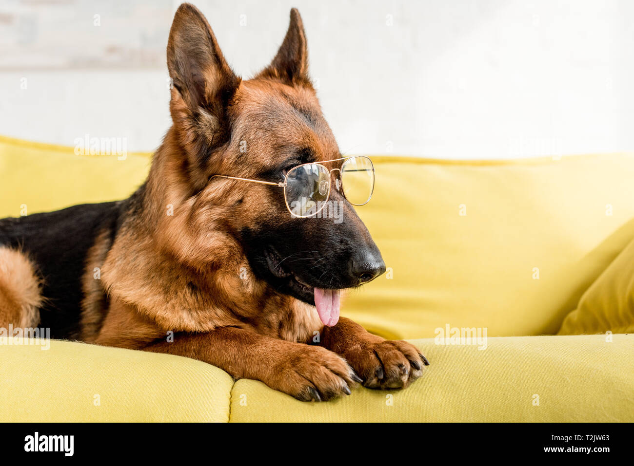 Gsd deals in apartment