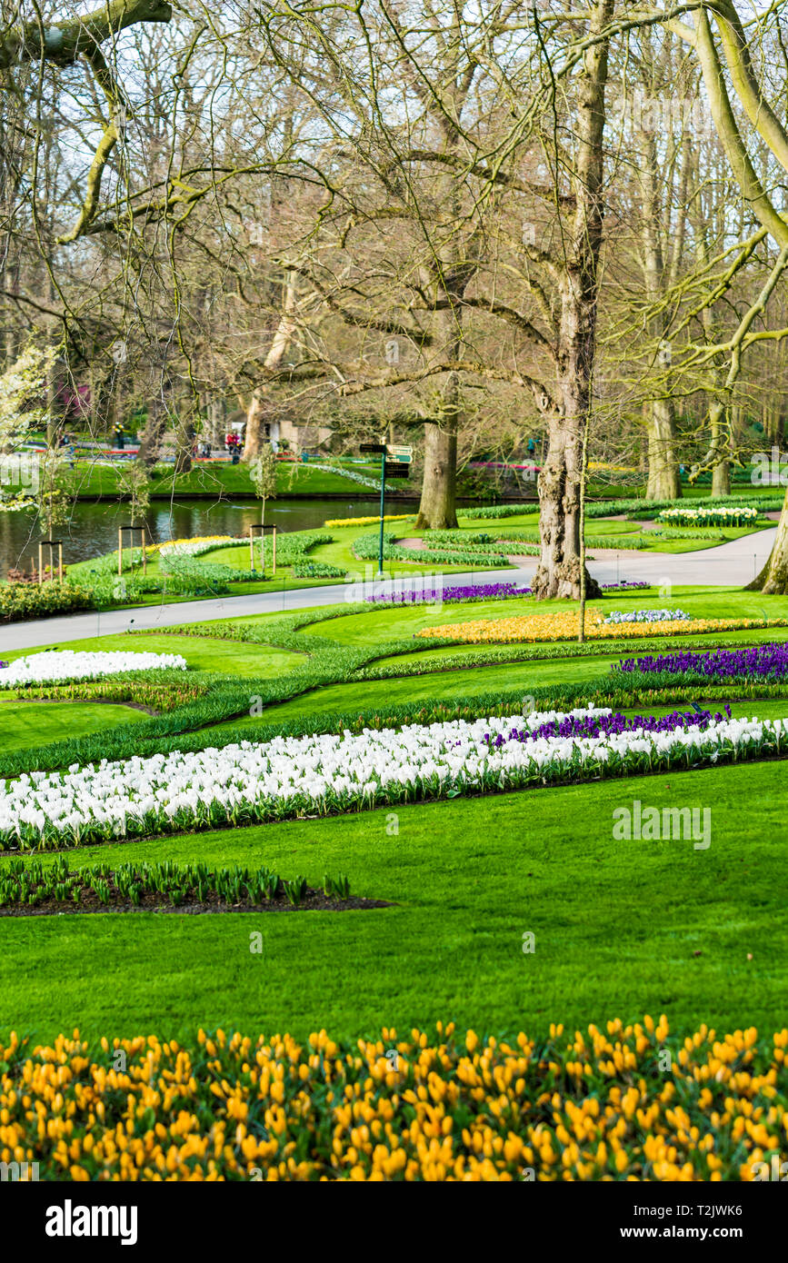 Keukenhof park in Netherlands Stock Photo - Alamy