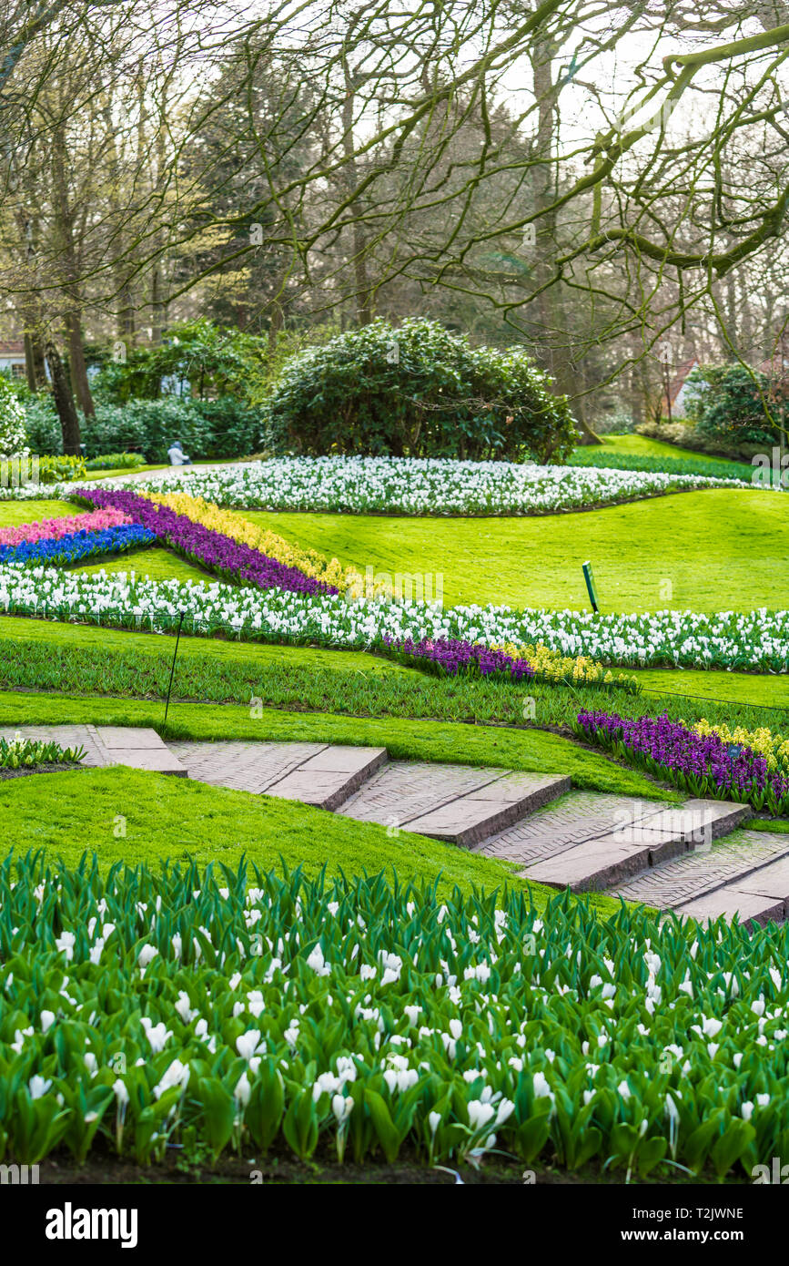 Keukenhof park in Netherlands Stock Photo - Alamy