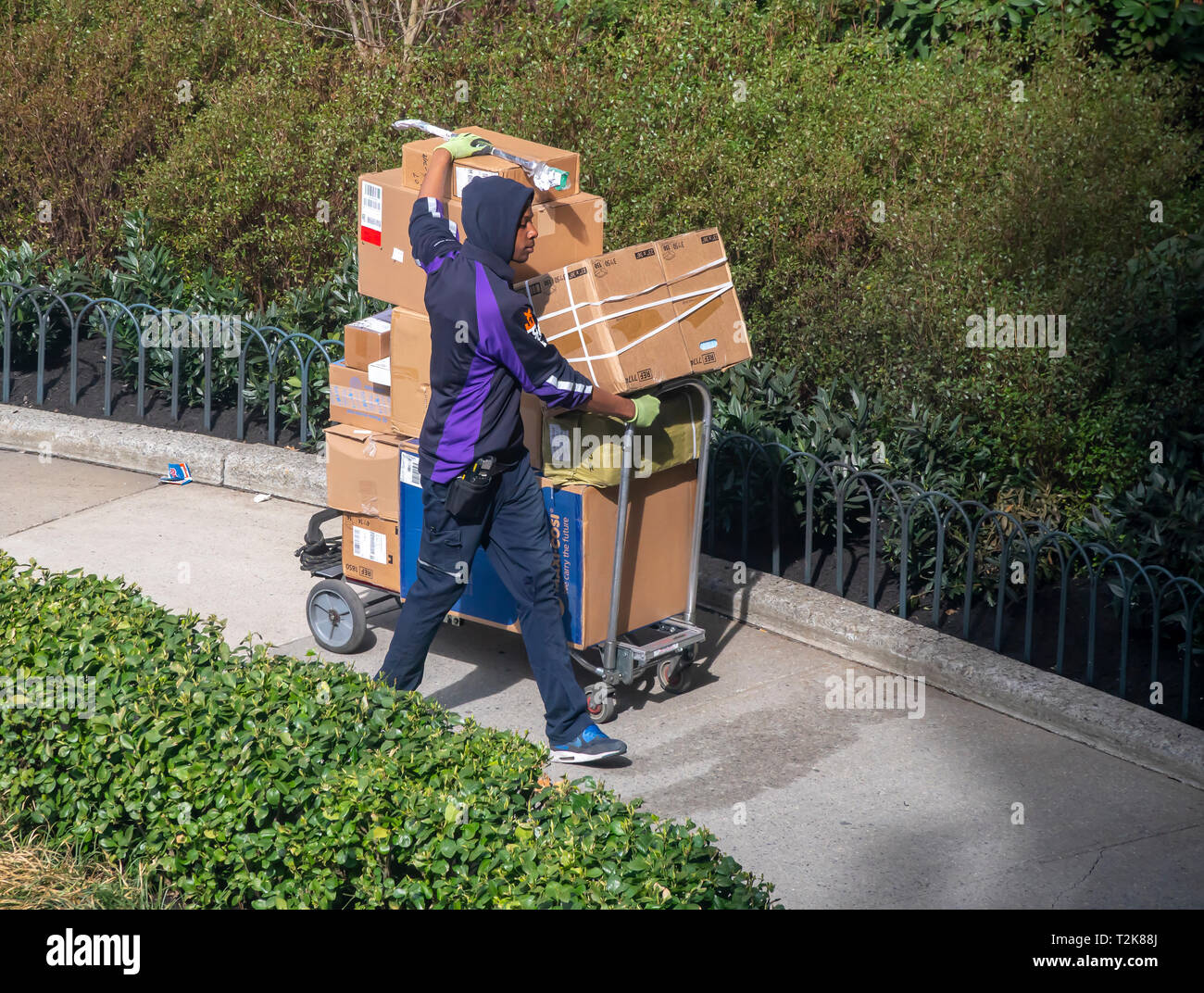 A deliveryman from FedEx with his cart laden with purchases delivers at