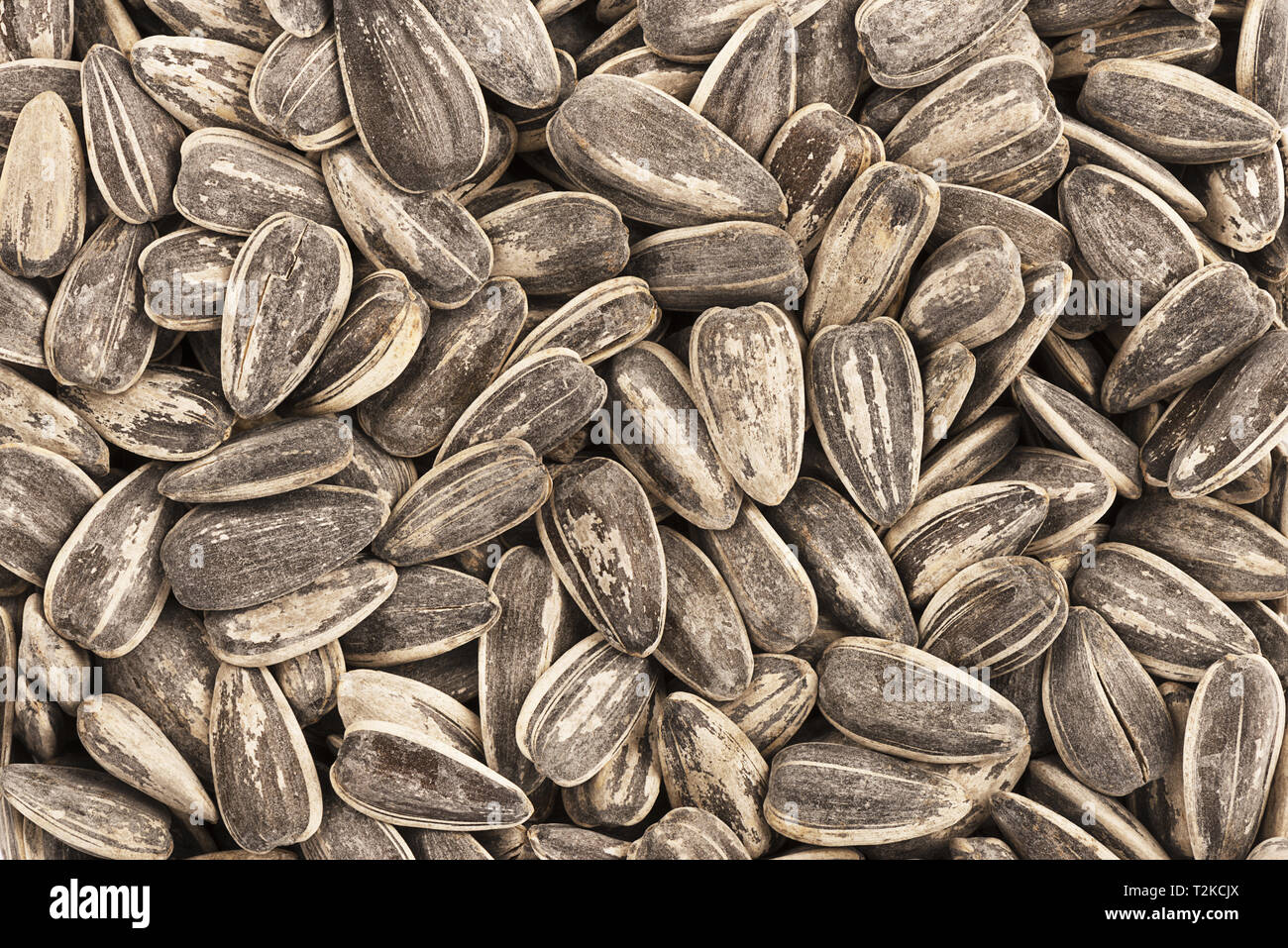 Texture salted sunflower seeds hi-res stock photography and images - Alamy