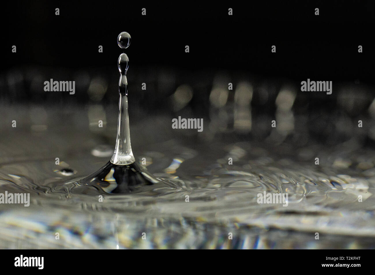 Caught in time Stock Photo Alamy