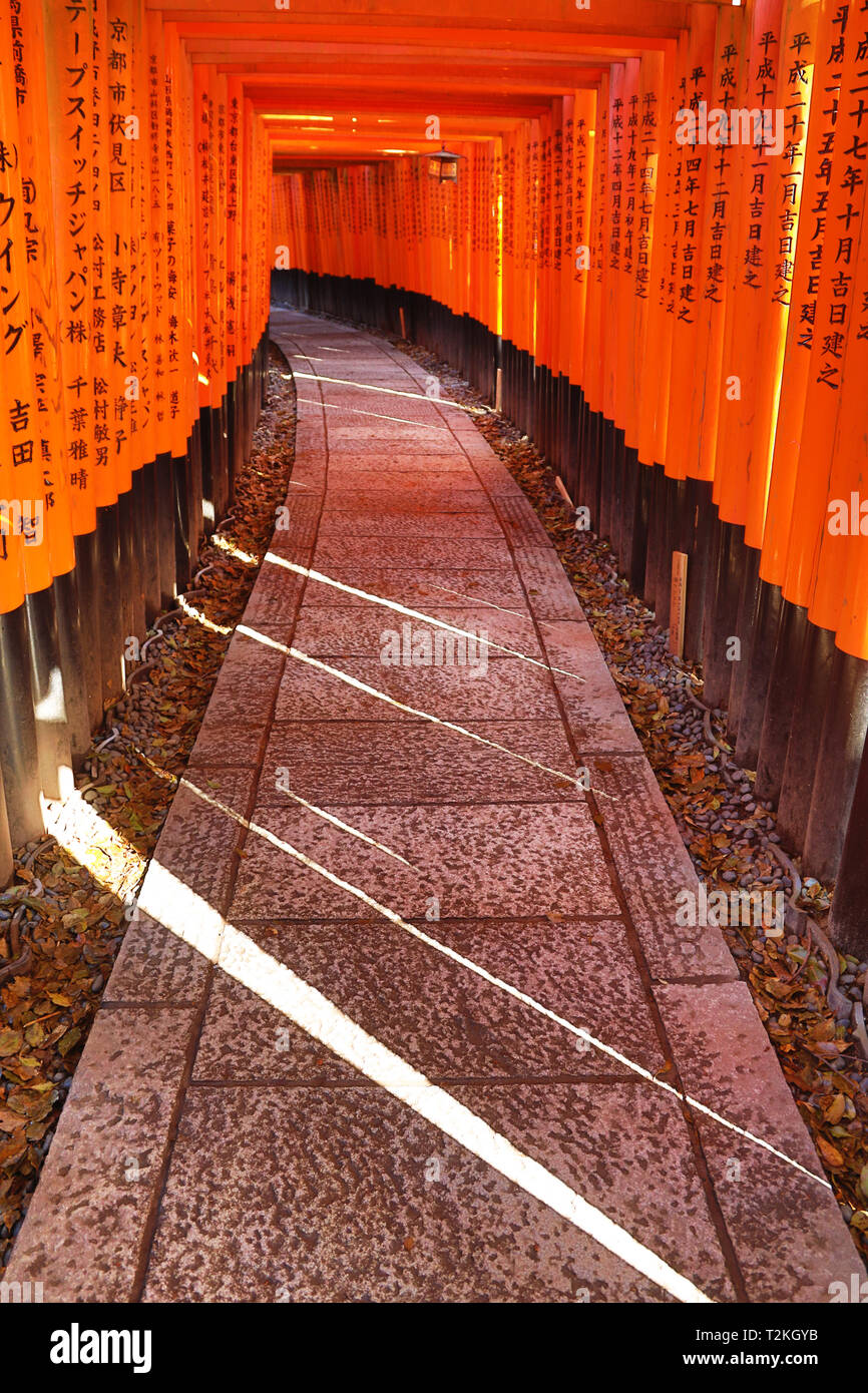 Orange Tunnel Of Senbon Torii Gates At Fushimi Inari Shinto Shrine In Kyoto Japan Stock Photo Alamy Orange Tunnel Of Senbon Torii Gates At Fushimi Inari Shinto Shrine In Kyoto Japan Stock Photo Alamy
