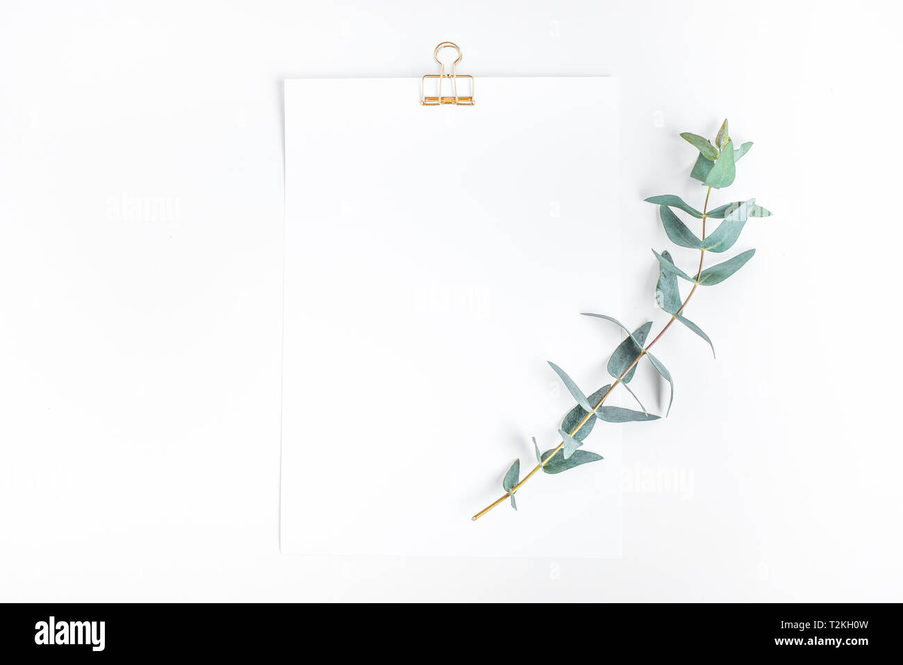 Top view of white notepaper with eucalyptus plant on worktable.minimalist style for creativity disign Stock Photo