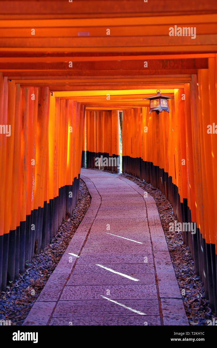 Orange Tunnel Of Senbon Torii Gates At Fushimi Inari Shinto Shrine In Kyoto Japan Stock Photo Alamy