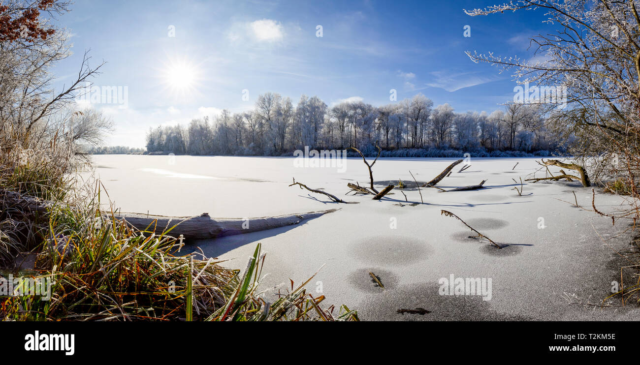Winter am Altwasser Stock Photo