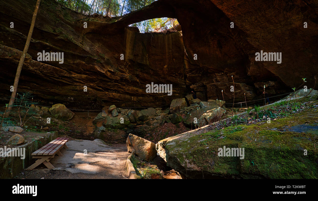 The Natural Bridge in Northern Alabama, is the largest free standing