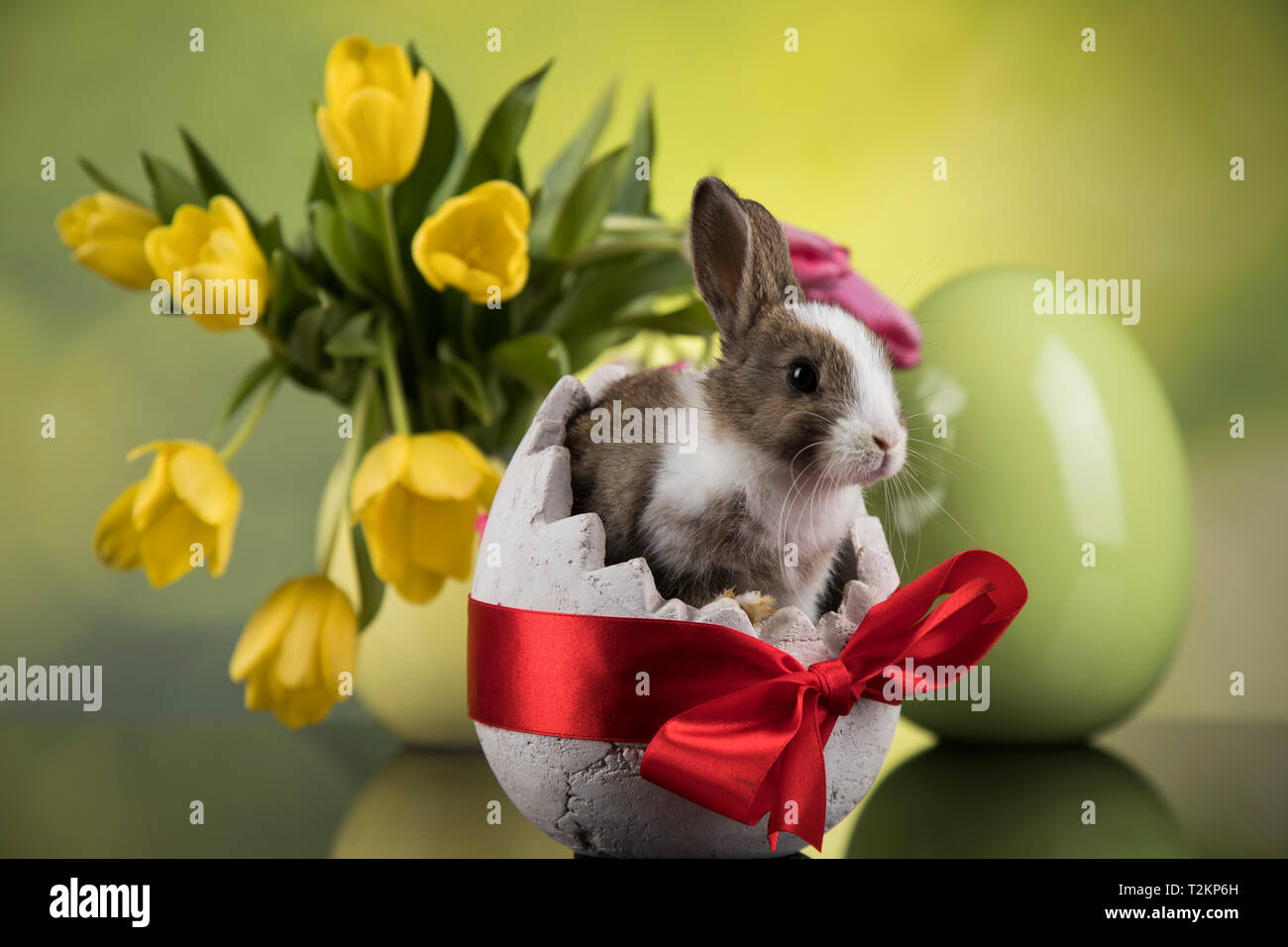 Easter holiday with eggs flowers and bunny Stock Photo Alamy Easter holiday with eggs flowers and bunny Stock Photo Alamy