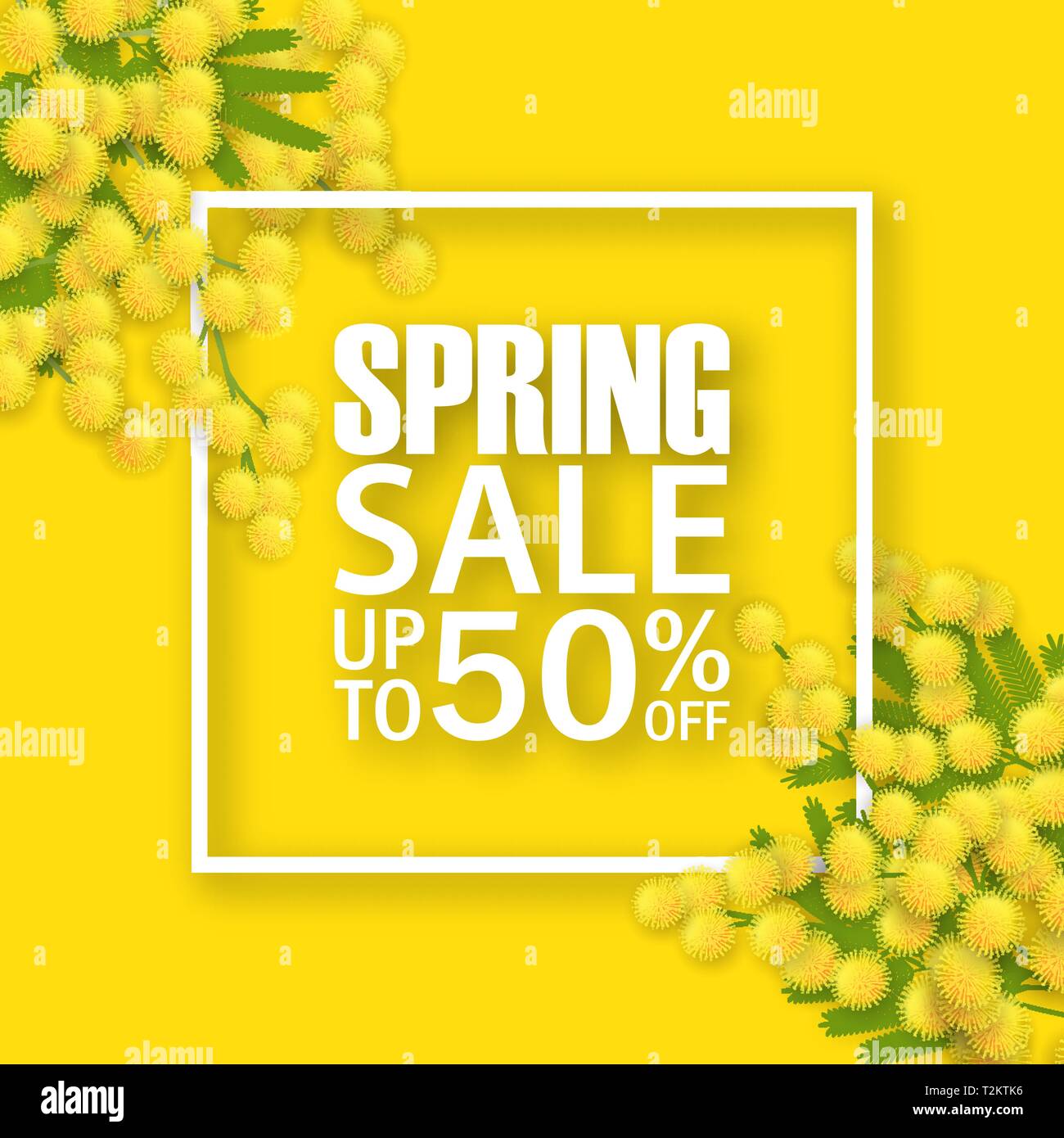 Download Spring Sale Square Banner With Mimosa 3d Realistic Branches Green Leafs Yellow Fresh Flowers Blank Template Vector Mockup For Site Banner Ads B Stock Vector Image Art Alamy PSD Mockup Templates