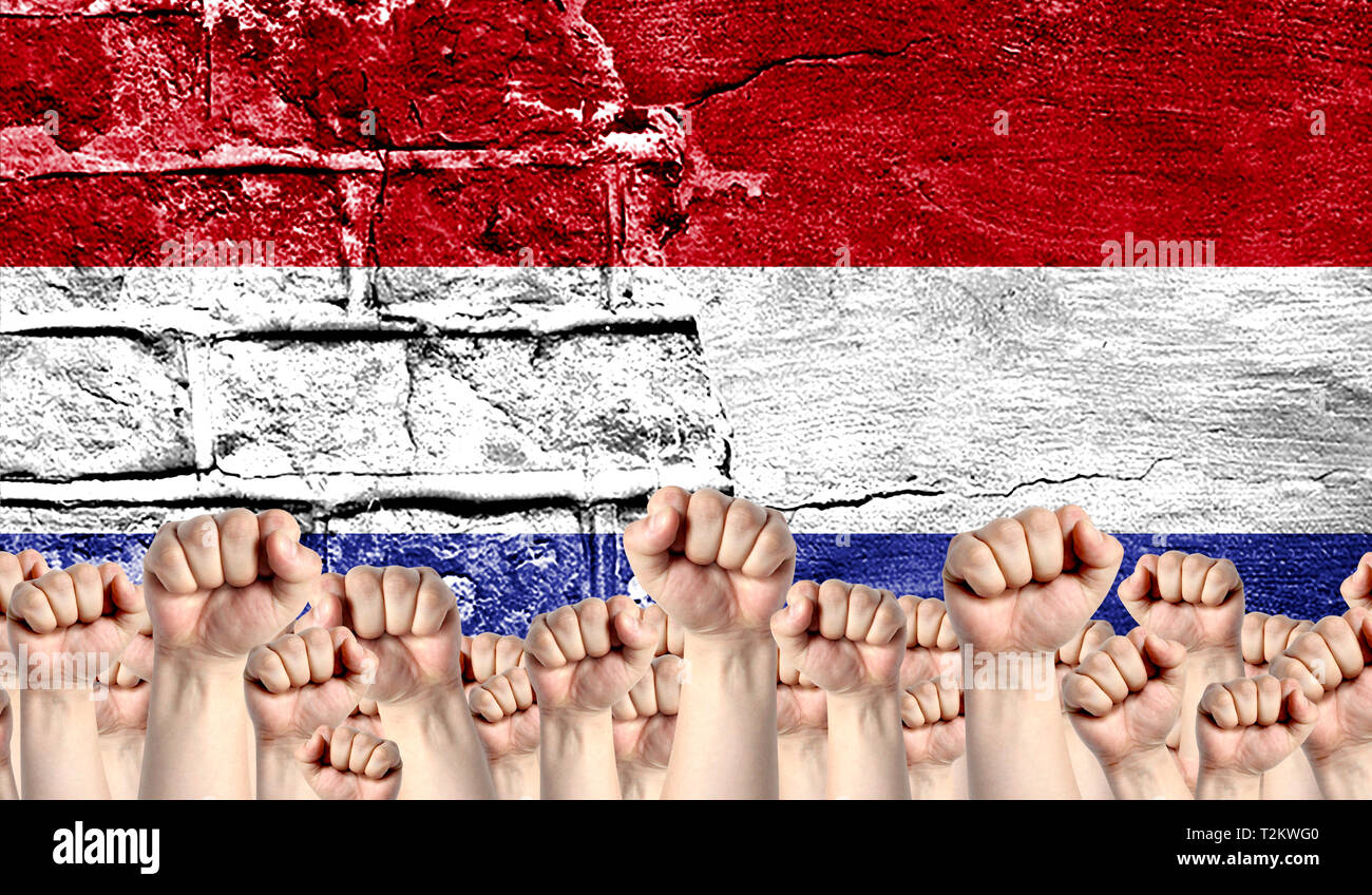Male hands clenched in a fist raised up against the backdrop of a destroyed brick wall with a flag of Netherlands. The concept of the labor movement f Stock Photo