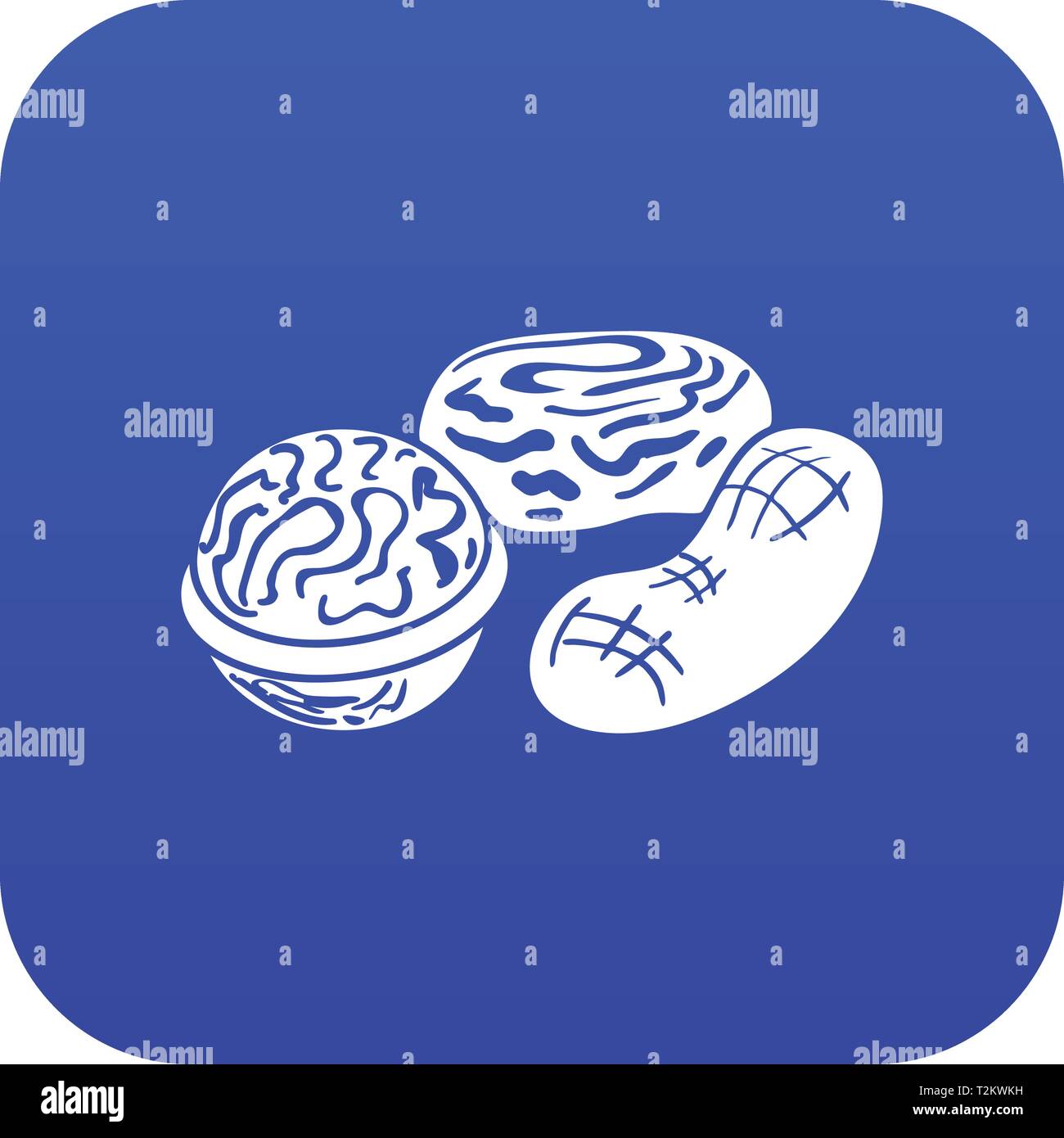 Nuts icon blue vector isolated on white background Stock Vector Image ...