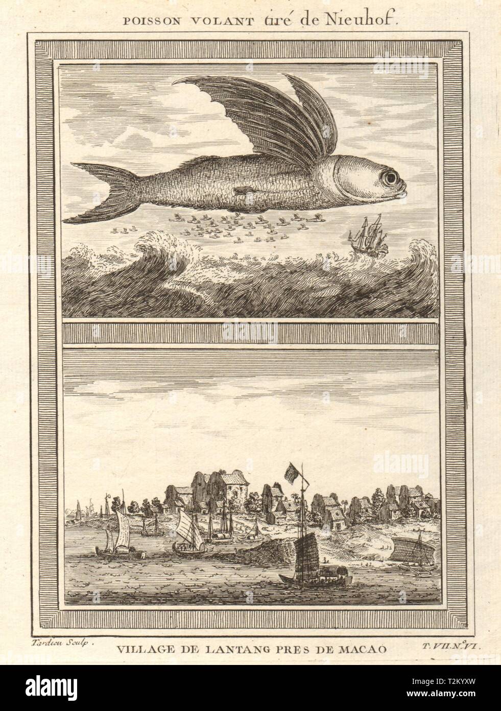 'Poisson volant'. Flying fish, and view of Liantang village, Macau. China 1749 Stock Photo