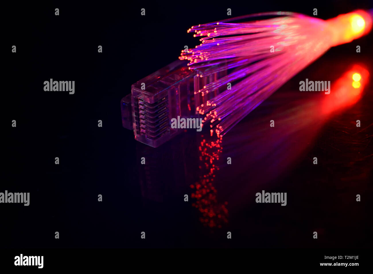 Network cable with fiber optics light on black background Stock Photo ...