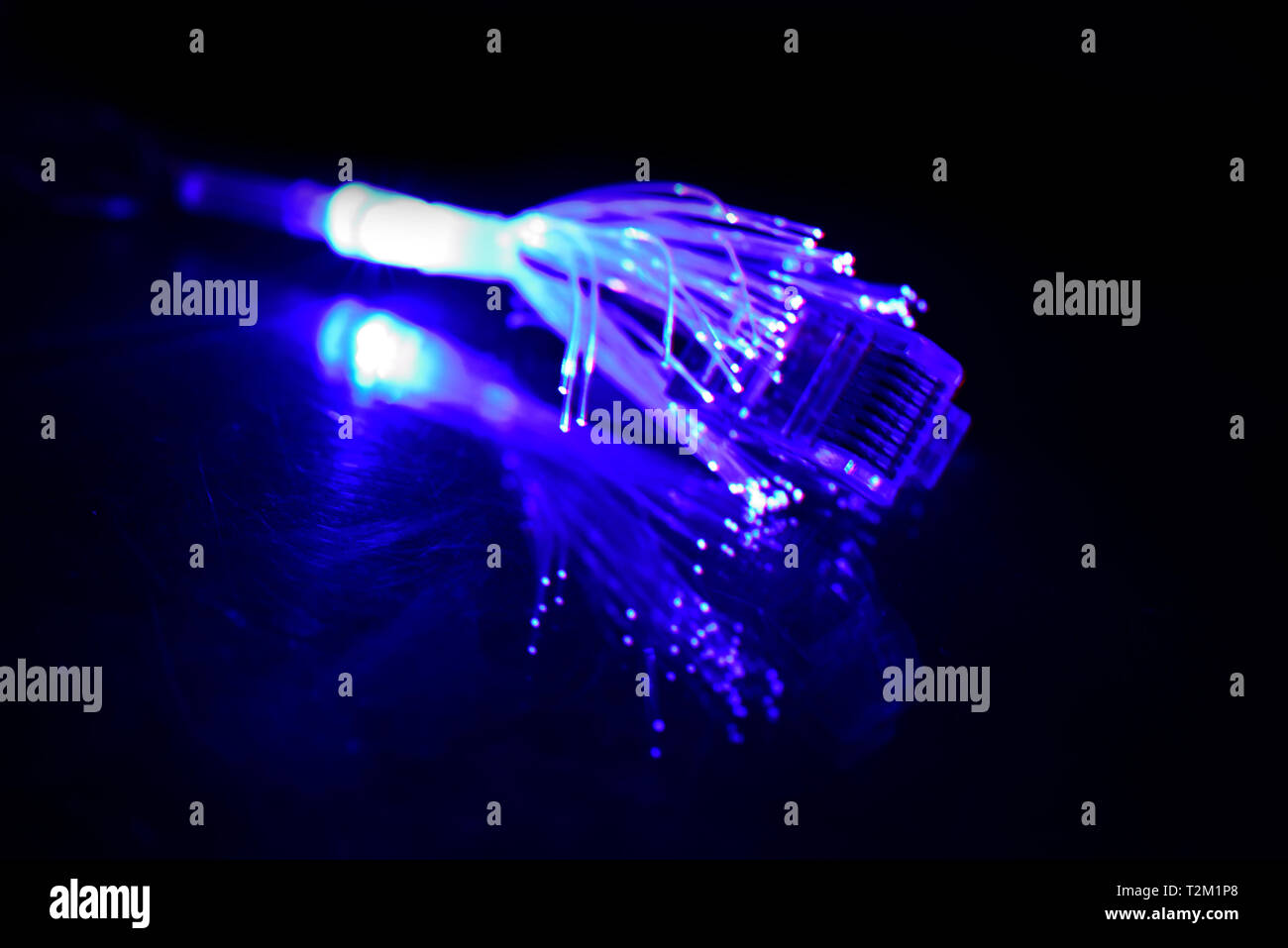 Network cable with fiber optics light on black background Stock Photo ...