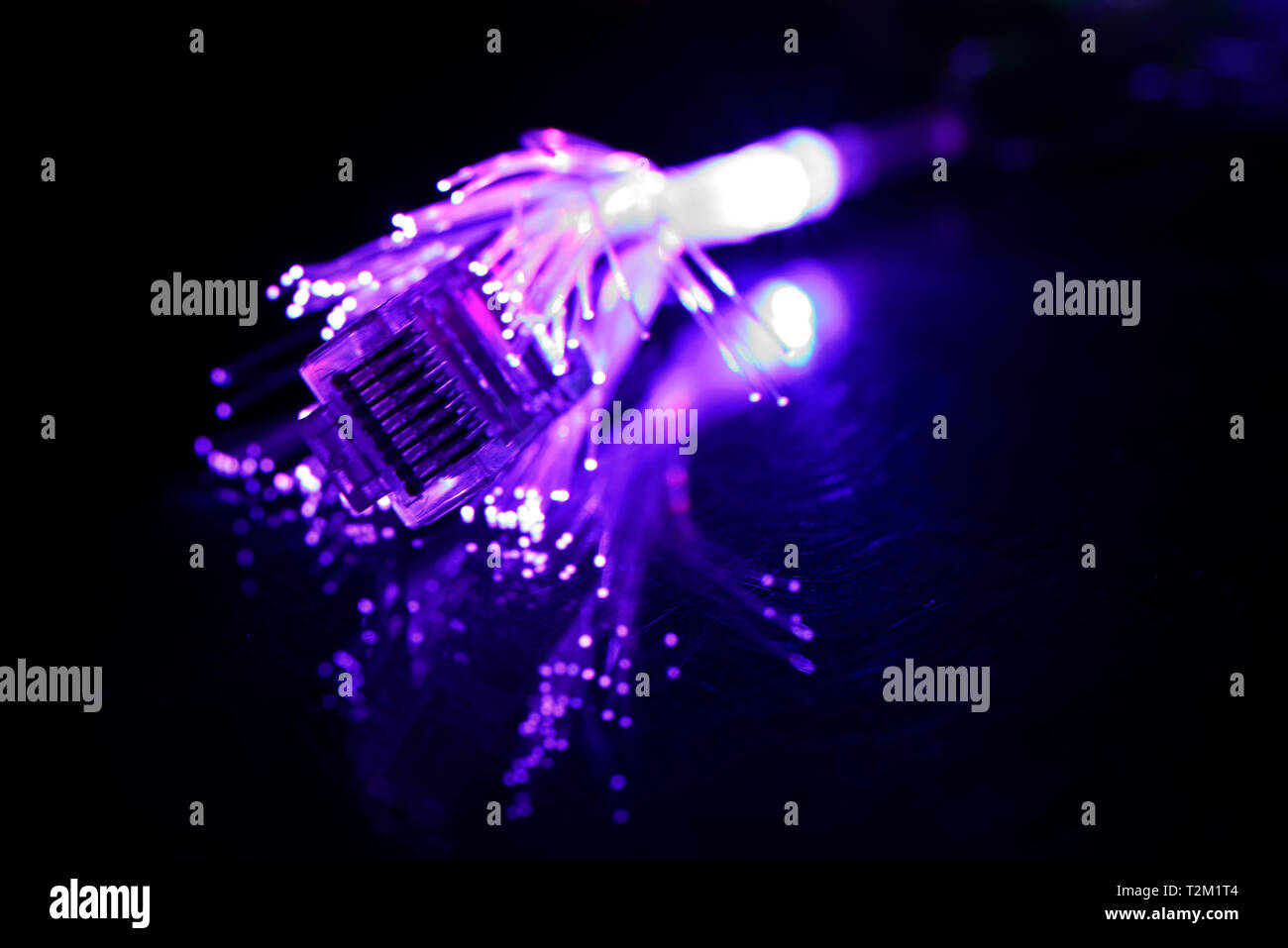 Network cable with fiber optics light on black background Stock Photo ...