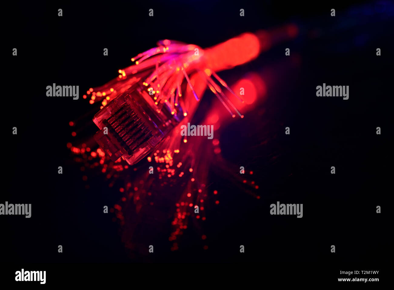 Network cable with fiber optics light on black background Stock Photo ...