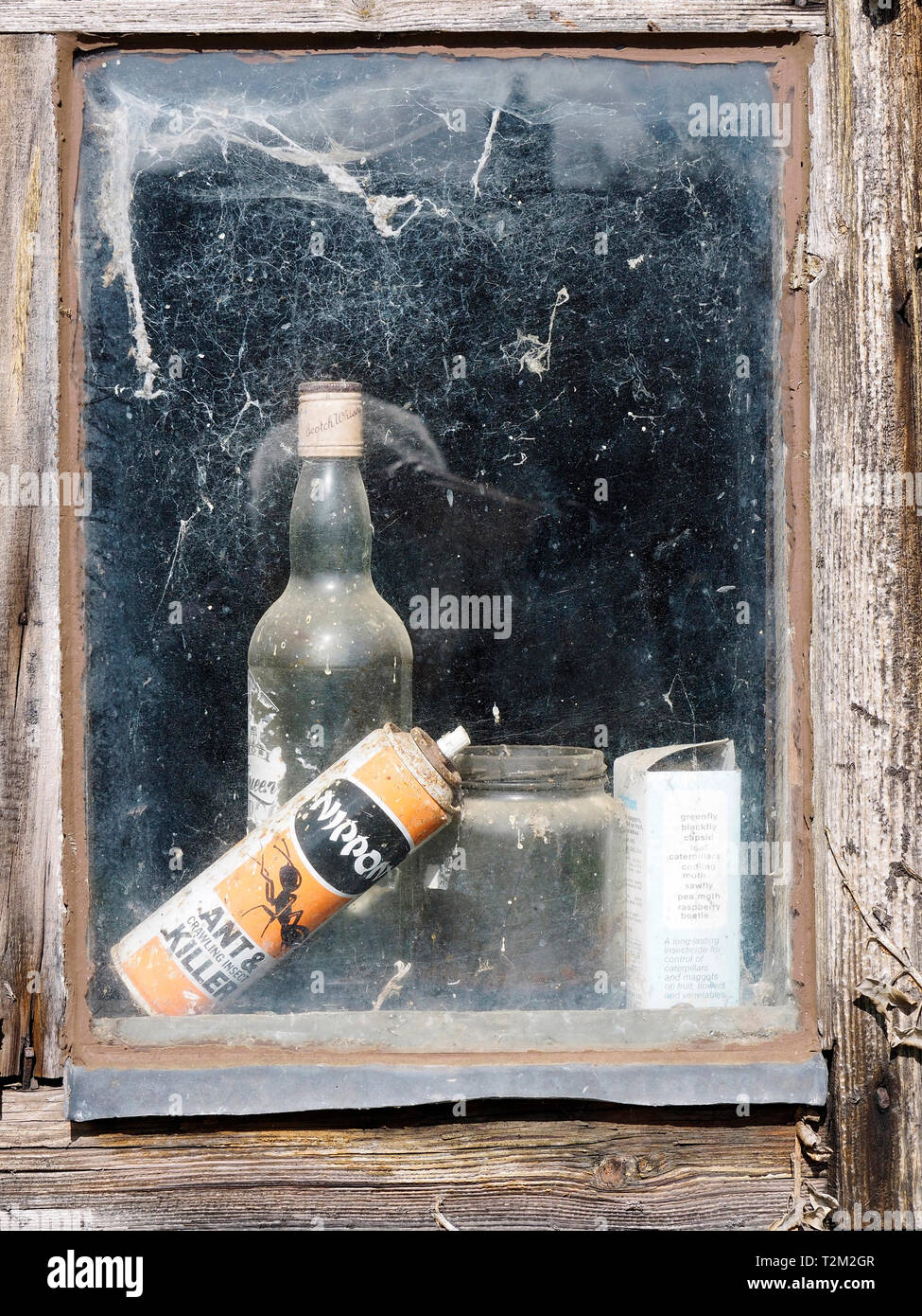 A glimpse through the window of an old garden shed with abandoned bottles and cans seen through cobweb covered glass. Stock Photo