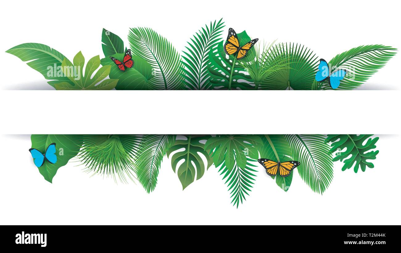 Sign with text space of Tropical Leaves and butterflies. Suitable for nature concept, vacation, and summer holiday. Vector Illustration Stock Vector