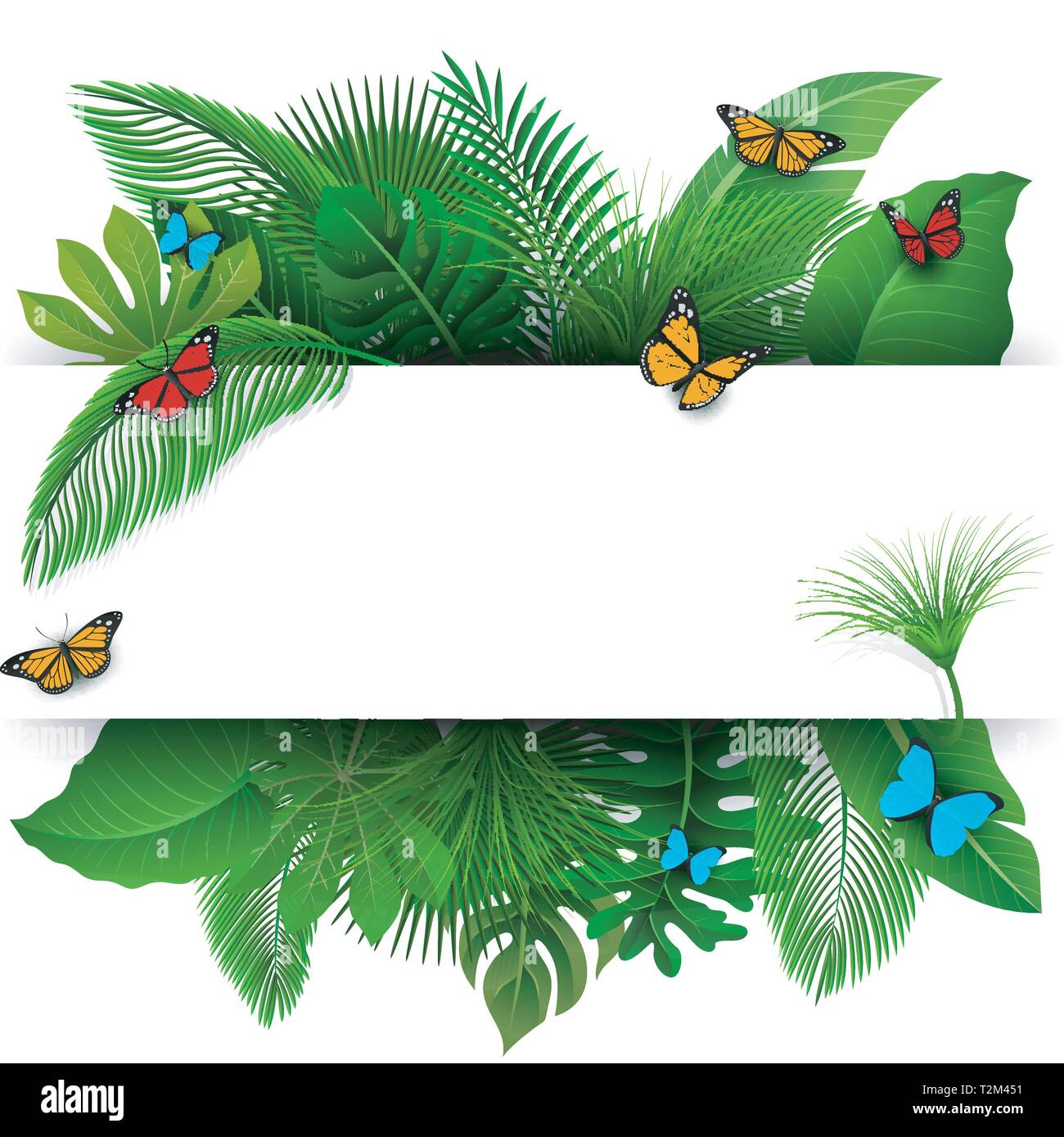 Sign With Text Space Of Tropical Leaves And Butterflies Suitable For Nature Concept Vacation And Summer Holiday Vector Illustration Stock Vector Image Art Alamy