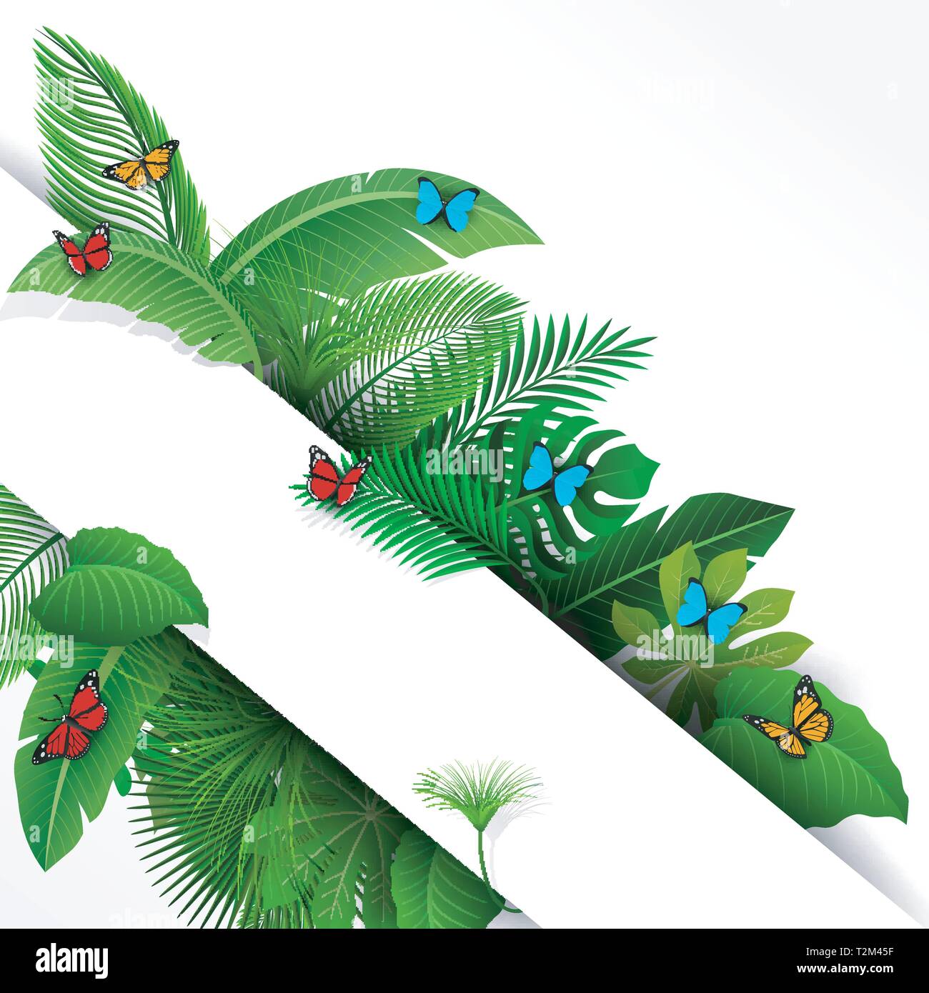 Sign with text space of Tropical Leaves and butterflies. Suitable for nature concept, vacation, and summer holiday. Vector Illustration Stock Vector
