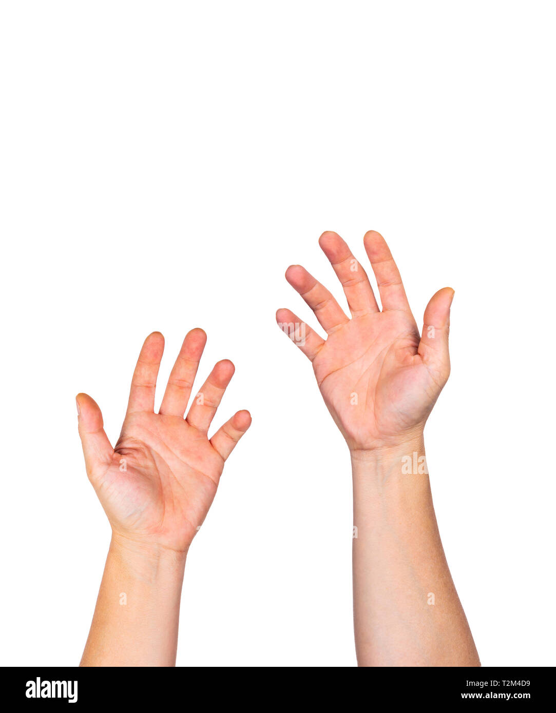 Male Bare Hands With Open Palms Raising Up Against White Background Room For Copy Space Stock Photo Alamy