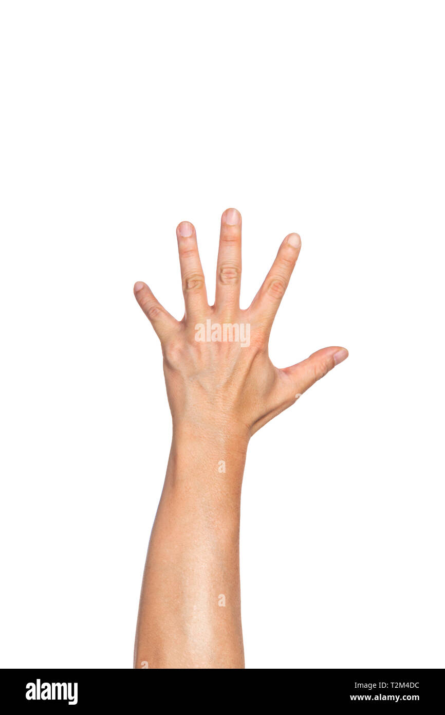 Протянутые ладони. Рука вытянутая вверх. Рука на белом фоне. Вытянутая рука. Человеческая рука.