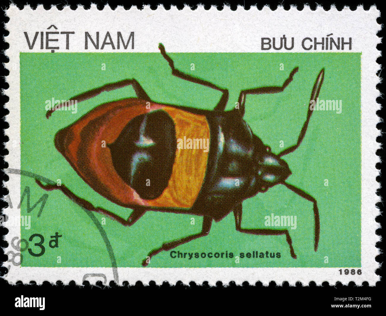Postage stamp from Vietnam in the Insects series issued in 1987 Stock Photo