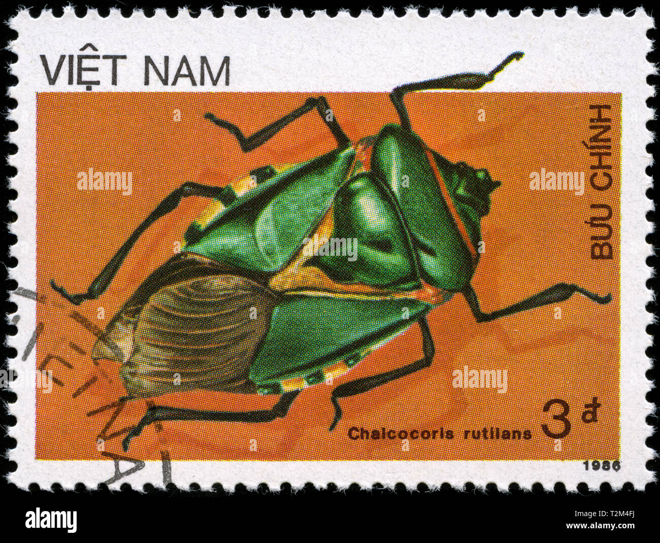 Postage stamp from Vietnam in the Insects series issued in 1987 Stock Photo