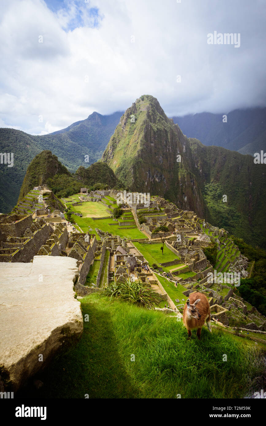 Machu Picchu Peru Stock Photo - Alamy