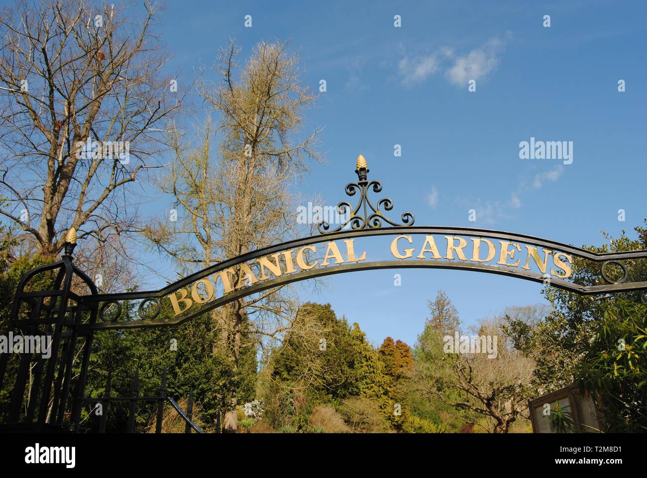 The beauty of the Botanical Gardens, Bath, UK Stock Photo - Alamy