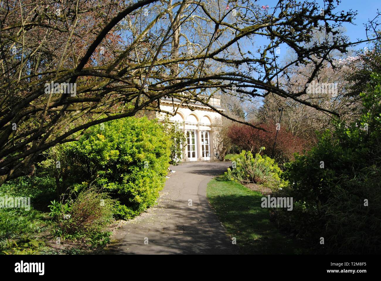 The beauty of the Botanical Gardens, Bath, UK Stock Photo - Alamy